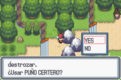 pokemon light platinum puño certero